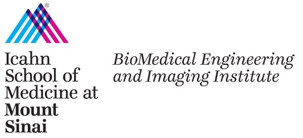 BMEII_MtSinai_logo